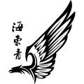 0o海东青o0头像