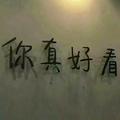 程灰400头像