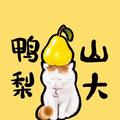 张成云8129头像