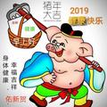 宝灿马头像