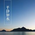 陈荣波103364801头像