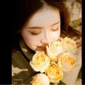 卡扎妃0020头像