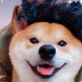 Ilikesunday头像
