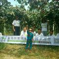 永远幸福李宗兵秦岭果鸽生态农庄头像