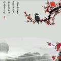 风157522657头像