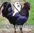洒脱芒果fi · 宝马3系车主·车龄4年头像
