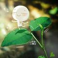 平凡之路158203719头像