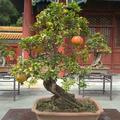 清茶159696191头像