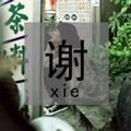 走出迷茫166428811头像