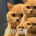 一口辣条都没动头像