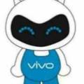 vivo全国打架总指挥头像