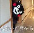 今头爱国人士头像