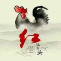桑廷军头像