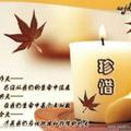 习惯就好72006816头像