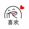 Dzp1头像