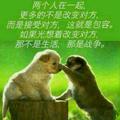 冰1458008头像