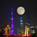 梦之浮桥37头像