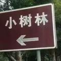 随风而去137038468头像
