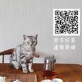 达观茶铺头像