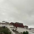 龙1686540 · 银河E8车主·车龄1年头像