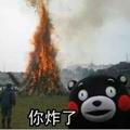 zzzZ6头像
