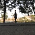 yi泩祗囿 · 卡罗拉车主·车龄2年头像