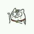 猫老师别走头像