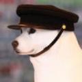 若木53137982头像