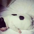 Mrlee173086477头像