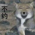 柴华6头像