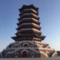 杨新东8头像