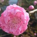 繁星点点141645887头像