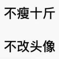 A独乐A头像