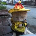 yellow171142332头像