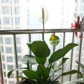 刘磊142324637头像