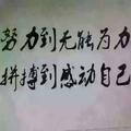 我是一朵花儿133918062头像