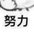 persistence155486944头像