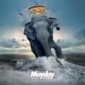 mayday24995115头像