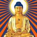 王洪奎11头像