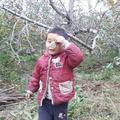 积极的暖阳lo头像