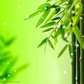 陈晋林2头像