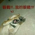 允许你帅但不要过分头像