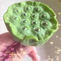 糖莲仔头像