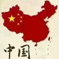 SHI86832294头像