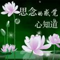 张小红181881093头像