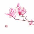 小朱那点事头像