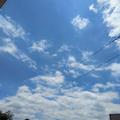 敏锐阳光gp头像