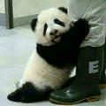 滚滚而来j头像