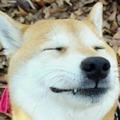 黎诗趣苑头像
