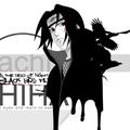 Immature666头像
